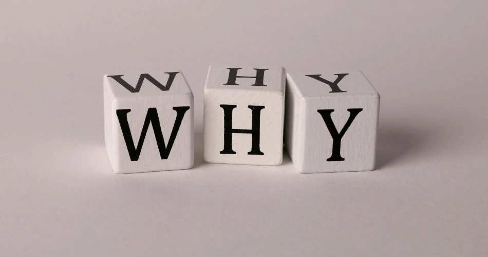 Ultimate Ventura Travel Guide: Best Places to Explore