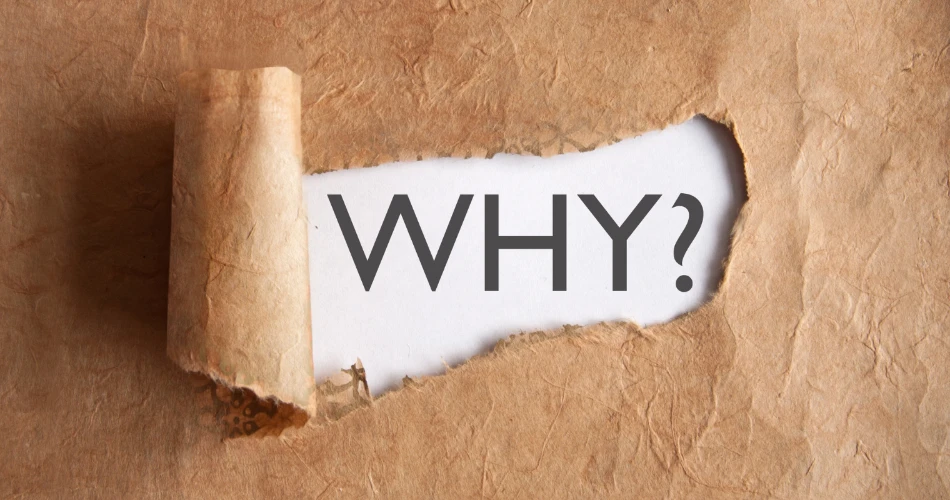 Top Outdoor Things to Do in Ventura for Thrill Seekers