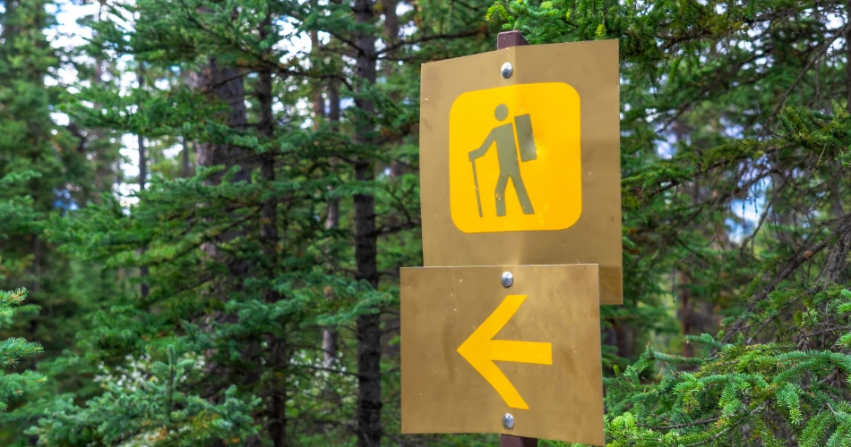 Top Outdoor Things to Do in Ventura for Thrill Seekers