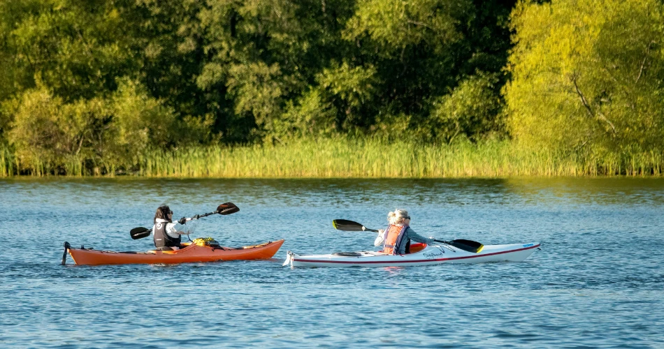 Fun Things to Do in Ventura with Family & Friends